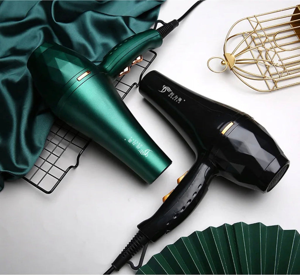 Professional Hair Dryer 1200W