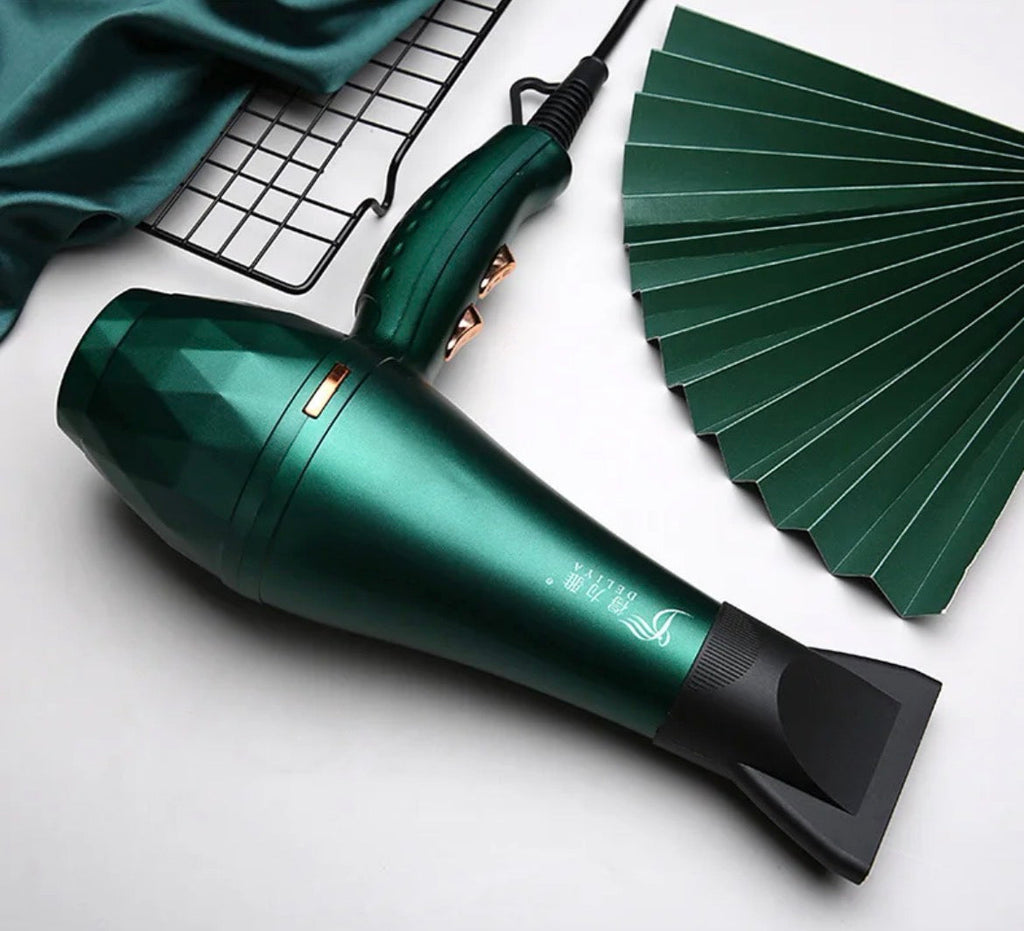 Professional Hair Dryer 1200W